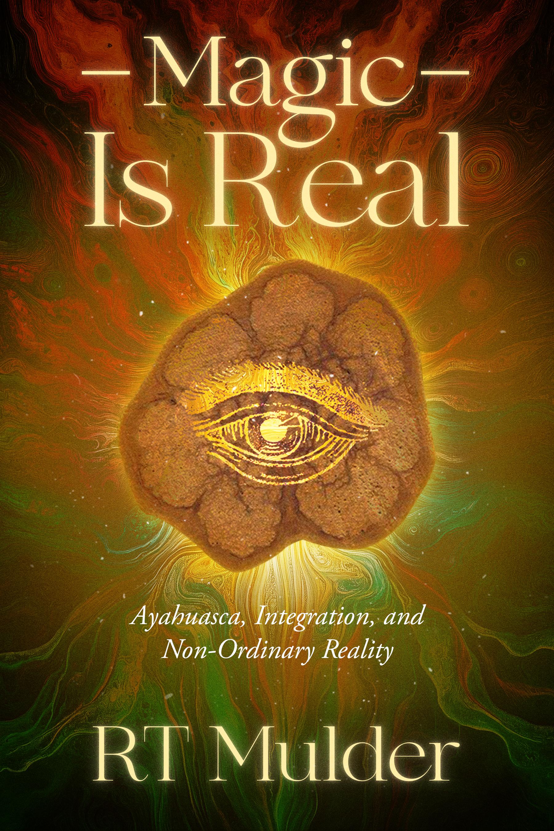Magic is Real eBook